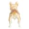 Hello Honey® 3" Multicolor French Bulldog Jeweled Trinket Box